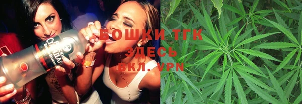 индика Алагир