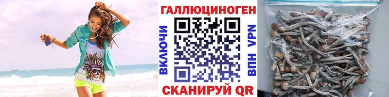 купить наркотик  Саратов  Галлюциногенные грибы MAGIC MUSHROOMS 