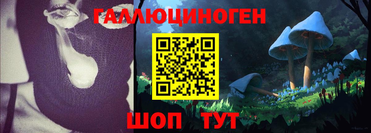 Саратов  Галлюциногенные грибы ЛСД  Вход с VPN  Галлюциногенные грибы ЛСД 